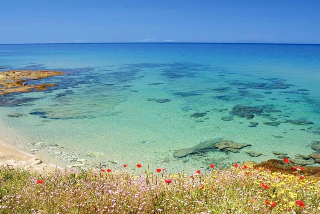 Apartment - La Dolce - Where Dreams True Valledoria (Sardinia)